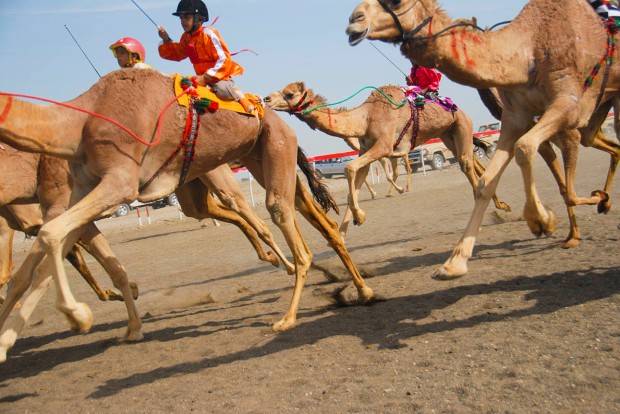 camel jockeys